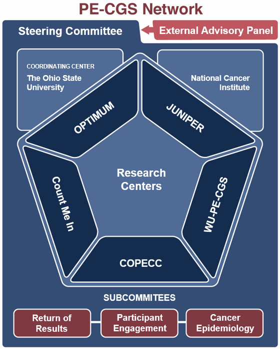 Network Structure 2025