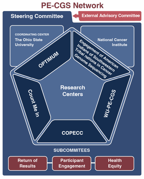 PECGS Network Structure